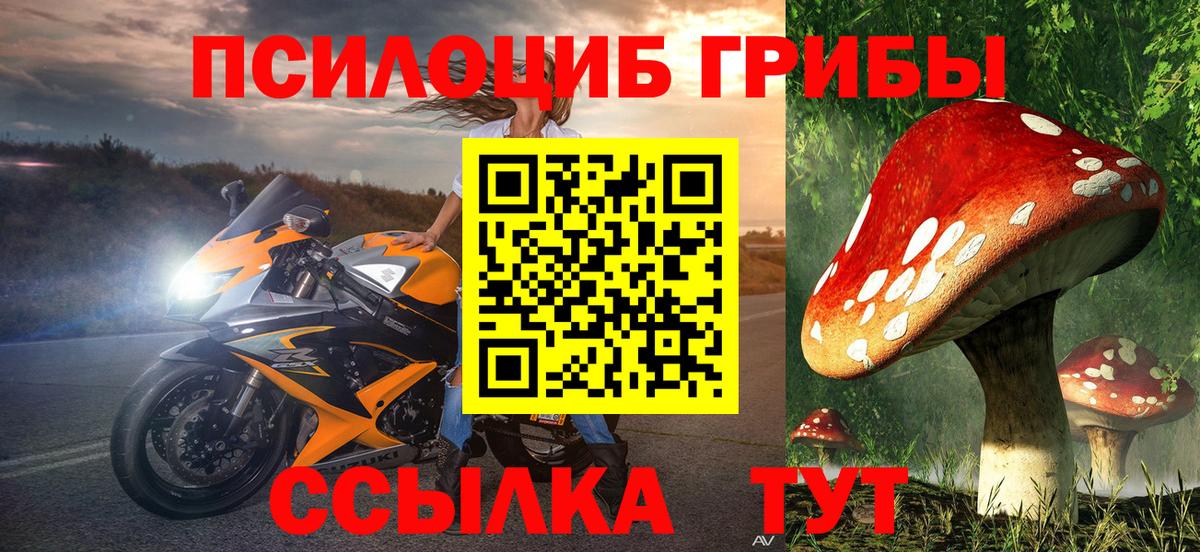 Галлюциногенные грибы MAGIC MUSHROOMS  Галлюциногенные грибы Magic Shrooms  закладка  Вход с VPN  Белогорск 